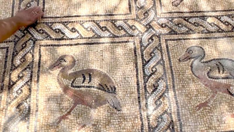 Фермер из Газы раскопал мозаику византийской эпохи у себя во дворе