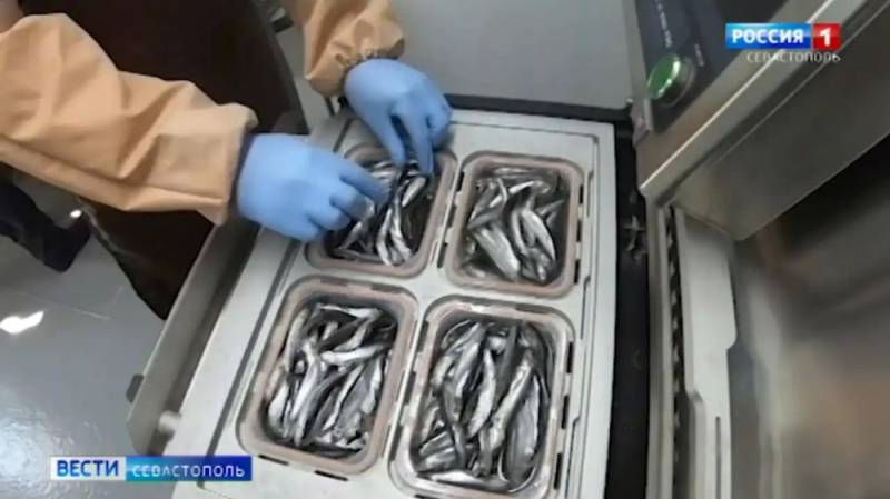Вылов рыбы у берегов Крыма за год увеличился на 600 тонн