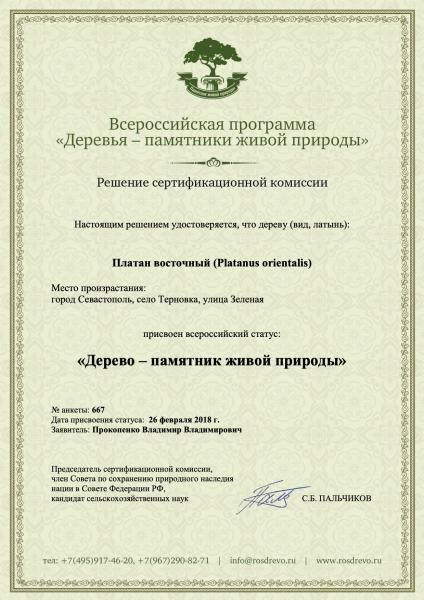 С 1 мая по 1 августа 2024 года в рамках конкурса «Российское дерево года – 2024» Севастопольцы могут проголосовать за...
