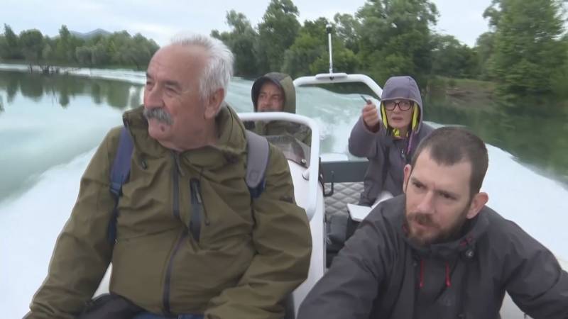 В Черногории подсчитали редких кудрявых пеликанов