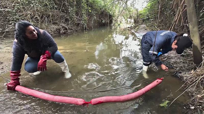 Волосы из парикмахерских помогают очищать реки