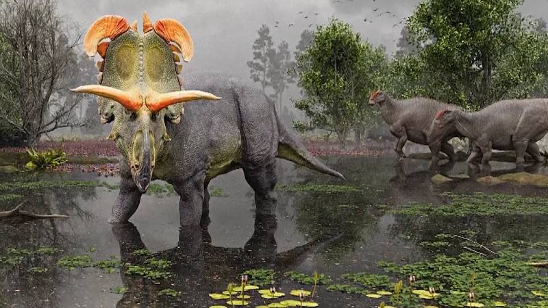 Новый вид динозавра: предок трицератопса