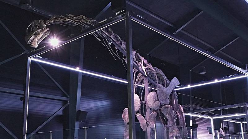 Удивительно полный скелет динозавра показали в Дании
