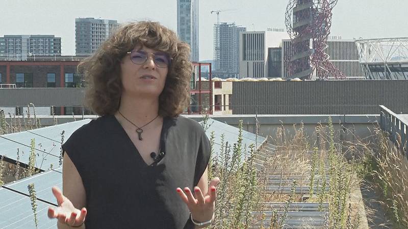 Снизить температуру зданий в Лондоне хотят с помощью природы