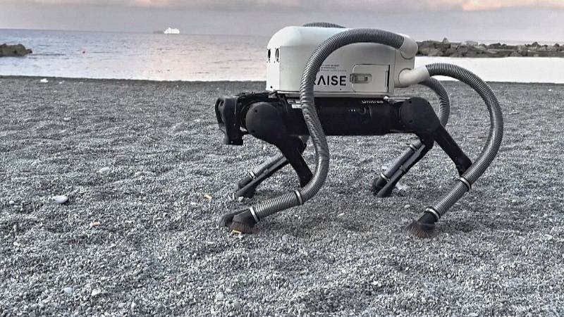 Собака-робот с лапами-пылесосами чистит итальянский пляж