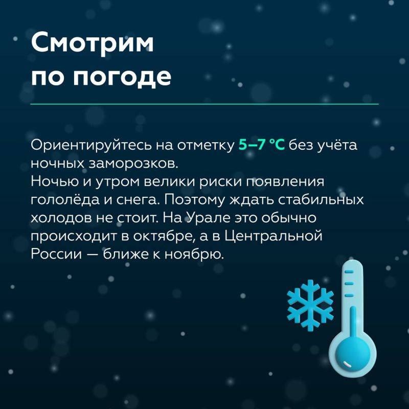 Завтра зима – 1 декабря Завтра зима – 1 декабря