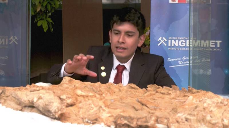 В Перу показали останки крокодила возрастом 10 млн лет