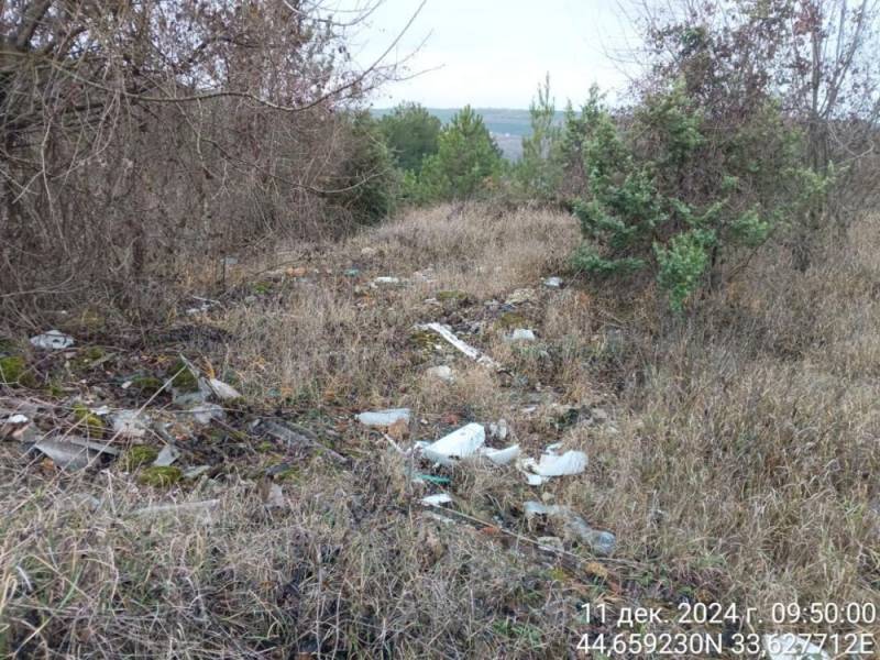 В Мекензиевском участковом лесничестве начались работы по ликвидации несанкционированной свалки отходов