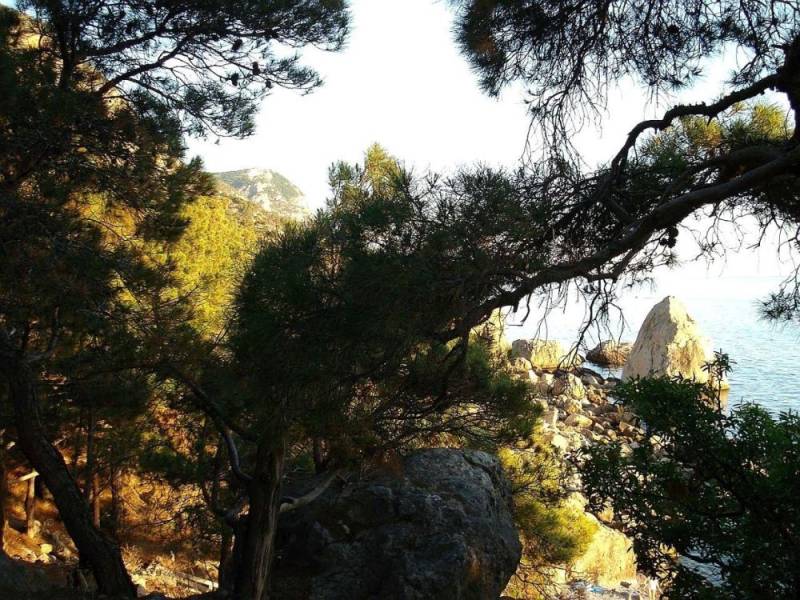 В сердце Севастополя, где природная красота сливается с исторической значимостью, стремительно процветает туризм на особо охраняемых природных территориях (ООПТ)