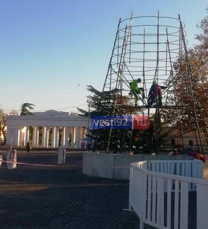 На площади Нахимова начался монтаж главной городской ёлки