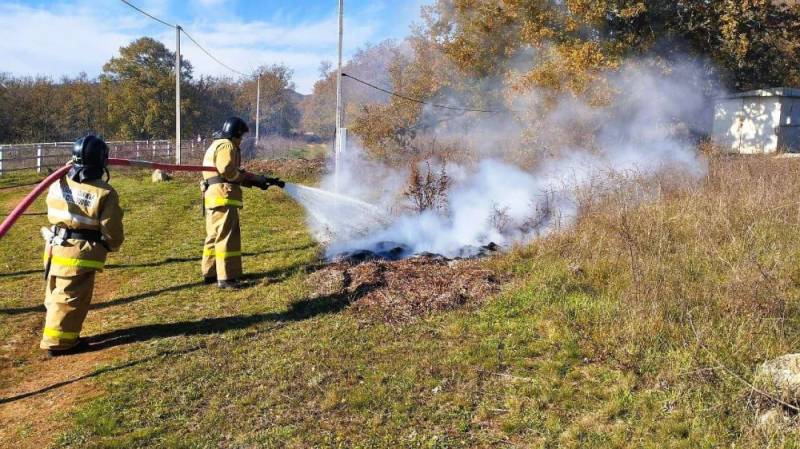 Общественная безопасность Общественная безопасность