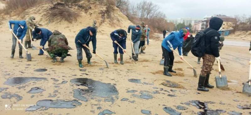 Разлив мазута угрожает роддому дельфинов, рассказал эколог Разлив мазута угрожает роддому дельфинов, рассказал эколог