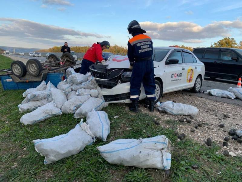 Общественная безопасность Общественная безопасность