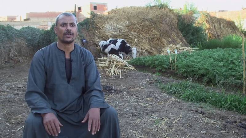 Биогазовые установки помогают экономить египетским фермерам