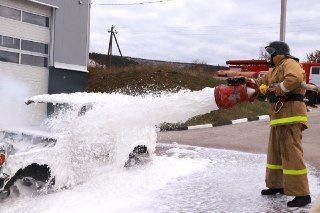 Общественная безопасность Общественная безопасность