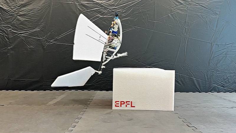 Робот-птица поможет усовершенствовать дроны