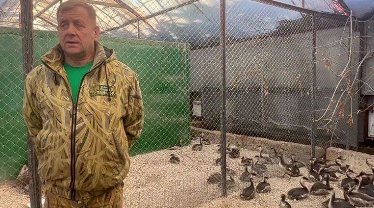 Число пострадавших от мазута птиц у побережья Крыма может приблизиться к 50 тысячам особей Число пострадавших от мазута птиц у побережья Крыма может приблизиться к 50 тысячам особей