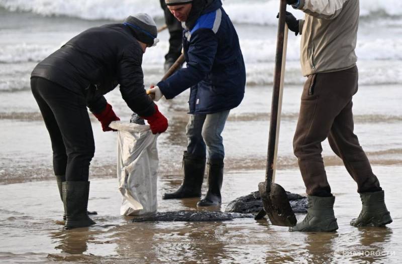 Волонтеры Московского зоопарка помогут в очистке берега Черного моря