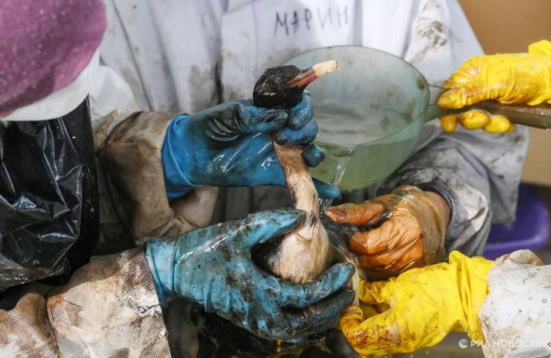 Эксперты назвали эффективные способы ликвидации разливов нефтепродуктов