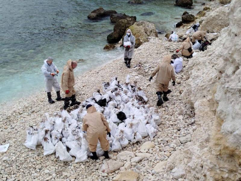 Михаил Развожаев: Оперативная информация о ликвидации последствий выброса мазута в Севастополе на 10 часов 26 января: