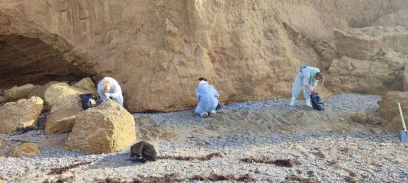 В Севастополе обследуют 165 километров берега между поселками Ласпи и Андреевка В Севастополе обследуют 165 километров берега между поселками Ласпи и Андреевка