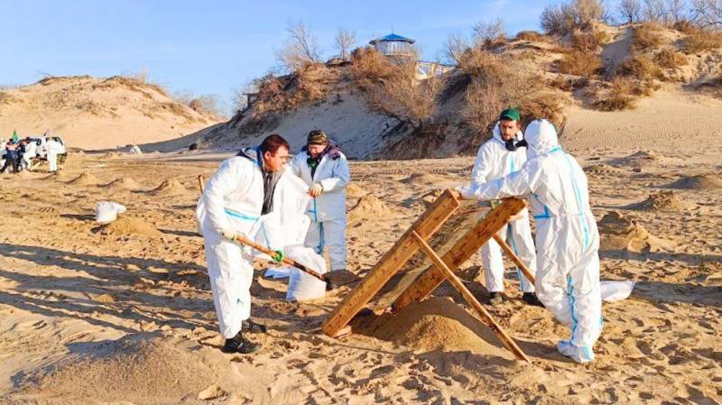 В Анапе песок очищают от мазута с помощью сита
