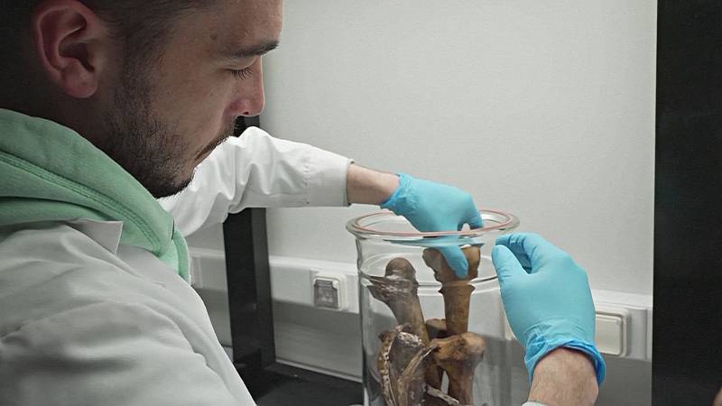 Искусственный запах человеческих костей поможет обучать собак-ищеек