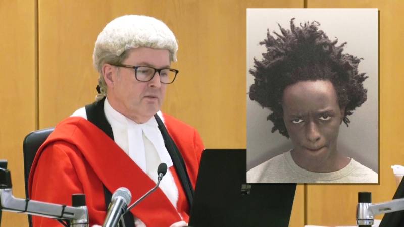 Подростку, убившему трёх девочек в Саутпорте, дали 52 года тюрьмы