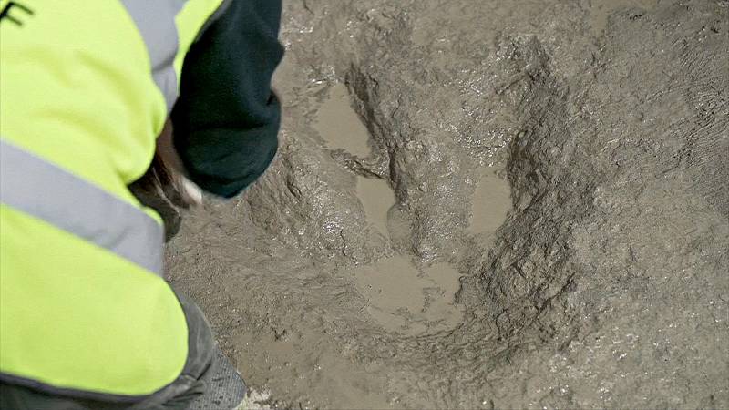 Тропы динозавров: сотни следов древних рептилий нашли в Великобритании