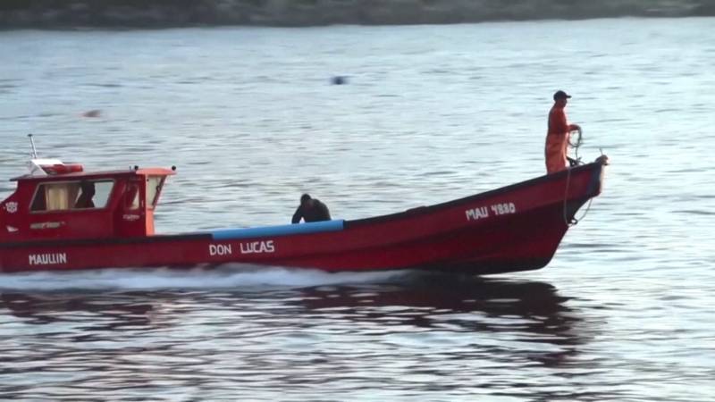 У берегов Чили затонуло пассажирское судно, есть жертвы