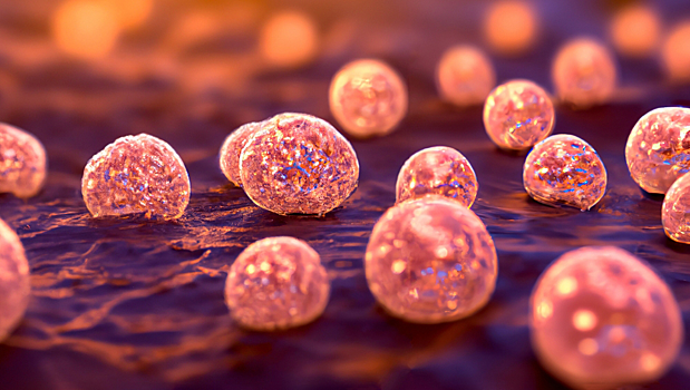 Как золотистый стафилококк «крадет» железо из крови во время инфекций