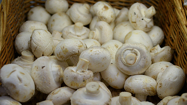 Шампиньоны оказались полезными при борьбе с раком