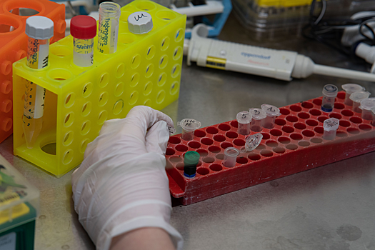 Найден способ сделать агрессивную опухоль мозга чувствительнее к лечению