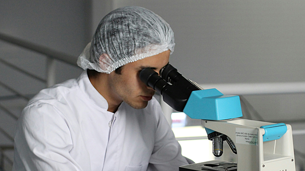 Медики предупредили об опасности микропластика для мозга человека