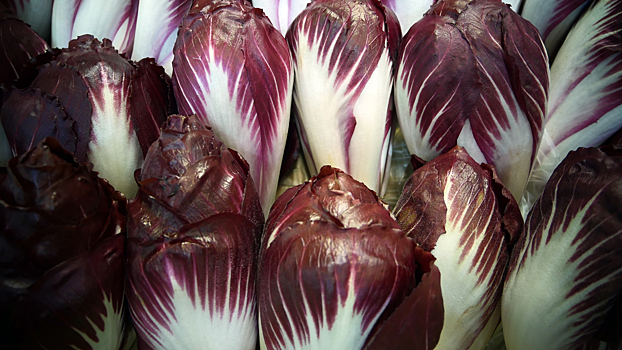 Ученые придумали, как повысить пользу красного салата для здоровья