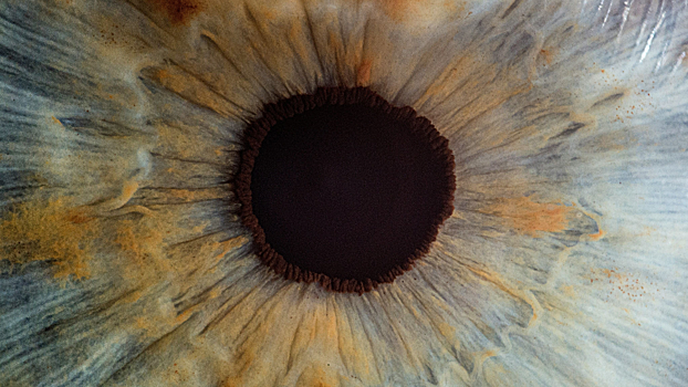 Медики выяснили, как работа перед экраном влияет на здоровье глаз детей