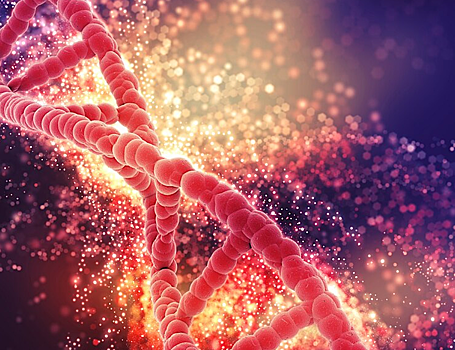 Ученые разработали новый анализ рациона человека