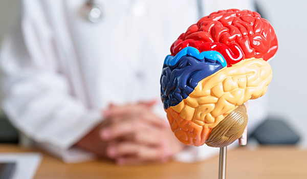 Найден «пробел» в диагностике и лечении болезни Альцгеймера