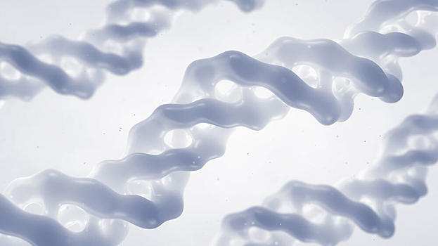 Ученые нашли новые свойства коллагена