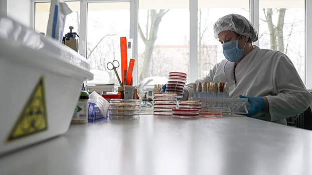 Токсин бактерии превратили в точечное средство для уничтожения опухолей