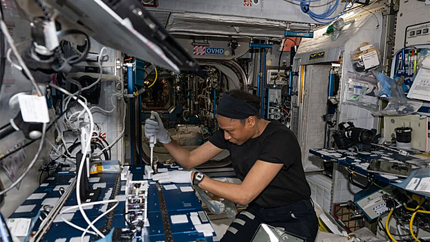 Космонавты помогут разобраться с устойчивостью микробов к антибиотикам