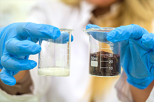 Найден способ заживлять раны с помощью очисток лука и яблок