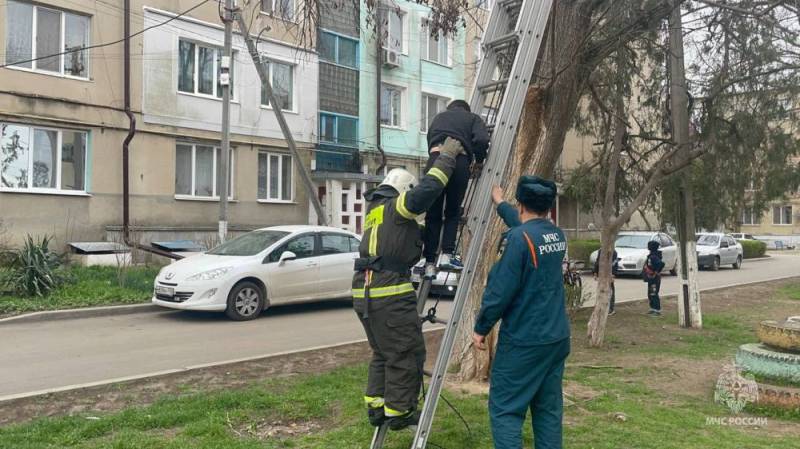 В Крыму спасатели МЧС России помогли застрявшему на дереве мальчику