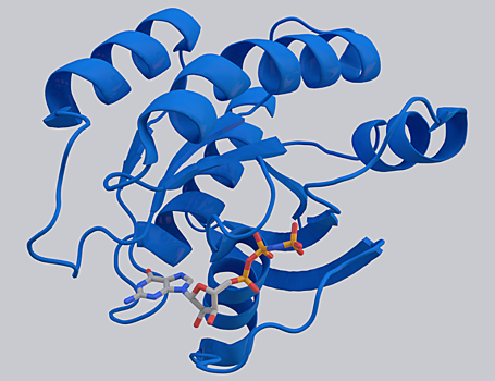 Найден ген, мутация которого делает рак устойчивым к лекарствам