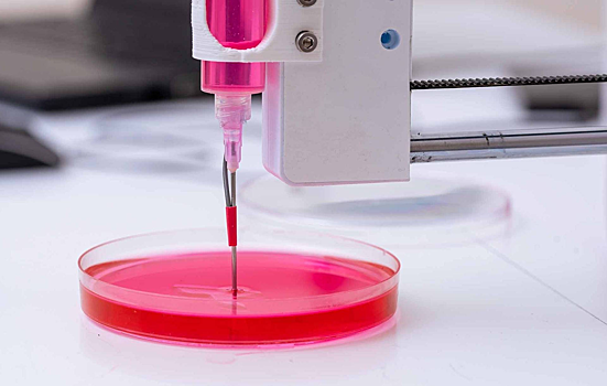 В России будут выращивать сосуды человека