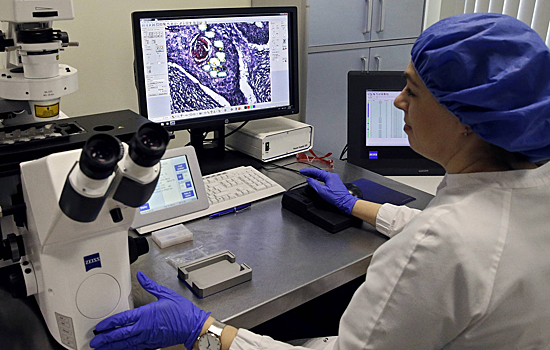 В Сибири создали наночастицы для борьбы с онкозаболеваниями