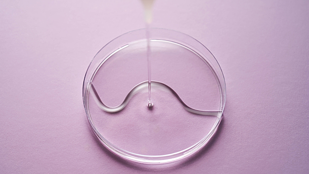 В России создали противовоспалительный гель на основе гречихи