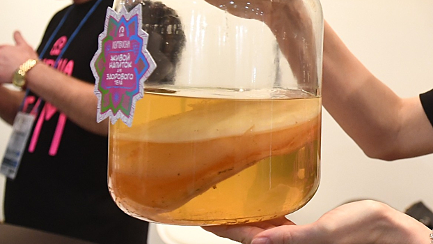 Российские ученые предложили лечить раны чайным грибом