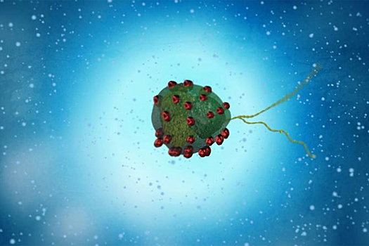 Ученые создали био-гибридного микроробота для целевой доставки лекарств