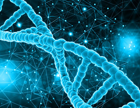 Составлен атлас эпигенетических изменений в клетках человека